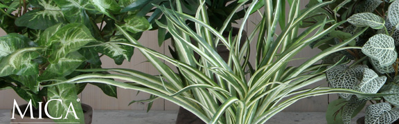 org:/banners product categories/accessories/artificial plants/banner-groene-planten.jpg